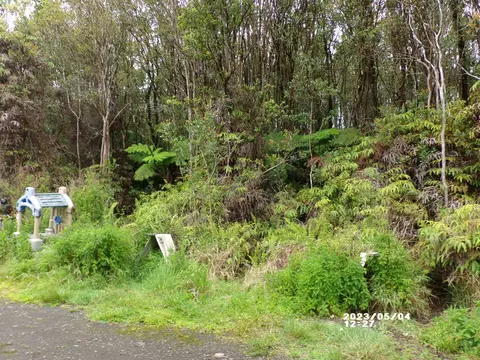 Road 5, Volcano, HI 96785