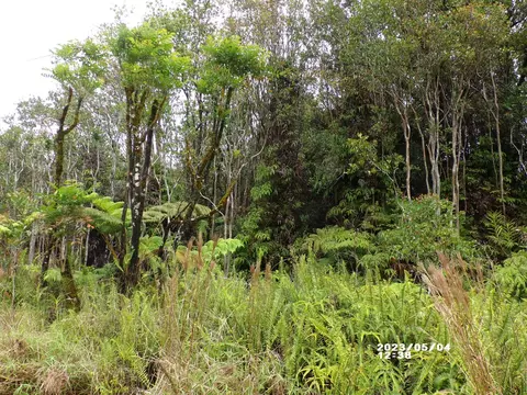 18-2305 Ola Kino Rd, Volcano, HI 96785