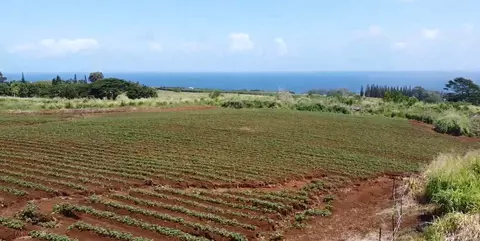28-561 Opua Rd, Pepeekeo, HI 96783