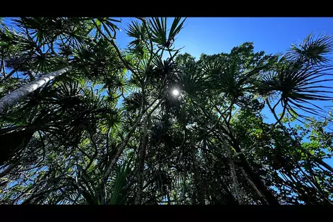 S Opakapaka St, Pahoa, HI 96778