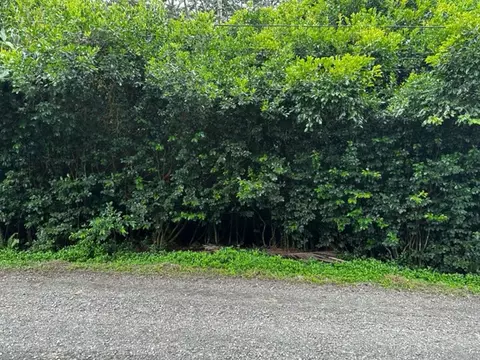 15-2042 3rd Ave, Keaau, HI 96749
