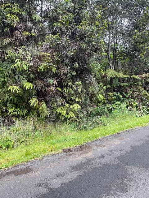 Liona St, Volcano, HI 96785