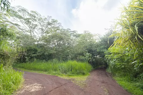 Puua Kapoho Rd, Pahoa, HI 96778
