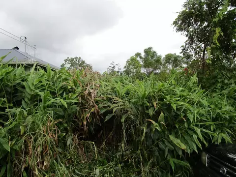 Undisclosed, Hilo, HI 96720