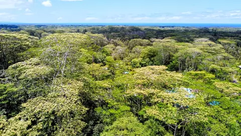 Church Circle, Pahoa, HI 96778