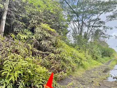Road 11, Kurtistown, HI 96760