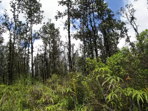Road 7, Mountain View, HI 96760