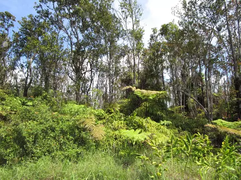 Makoa Rd, Volcano, HI 96785