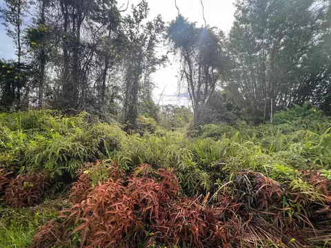 16-1695 Road 8, Mountain View, HI 96760