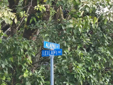 Alapai St, Pahoa, HI 96778