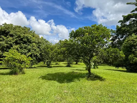 16-309 Melekule St, Kurtistown, HI 96760