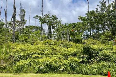 Kupono St, Pahoa, HI 96778