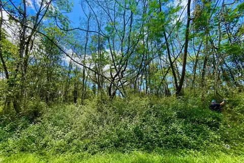 Pakalana Rd, Pahoa, HI 96778