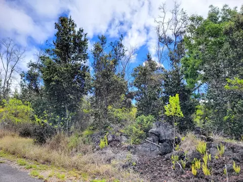 92-8768 Plumeria Ln, Ocean View, HI 96737