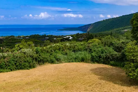 83-1021 Kahauloa Pl, Captain Cook, HI 96704