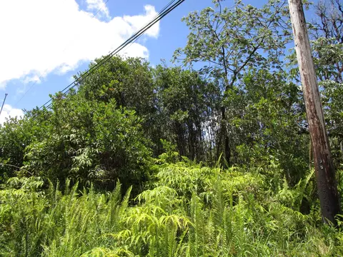 Road 7, Mountain View, HI 96760