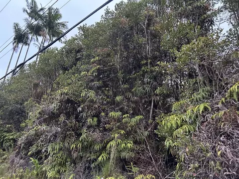 Road 8, Volcano, HI 96785