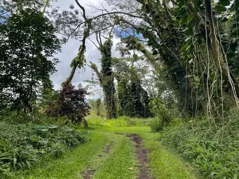 Colleen Circle, Pahoa, HI 96778