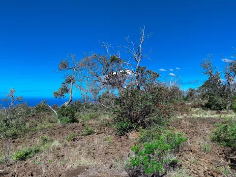 Reef Pkwy, Ocean View, HI 96737