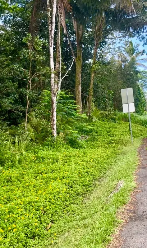Kahakai Blvd, Pahoa, HI 96778