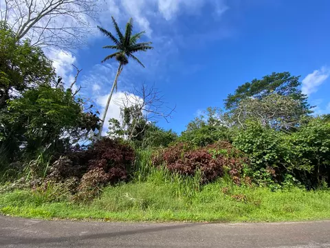 Nenue St, Pahoa, HI 96778