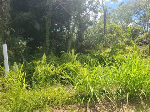Rainbow Dr, Pahoa, HI 96778