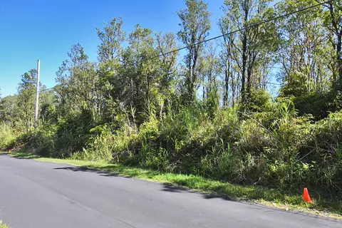 Anthurium St, Mountain View, HI 96771