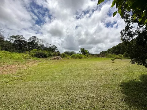 29-2147 Kaiwiki Homestead Rd, Hakalau, HI 96710