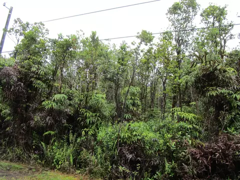 Manini Cir, Mountain View, HI 96771