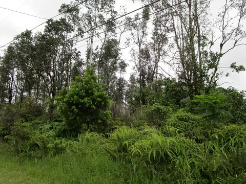 Road 6, Mountain View, HI 96760