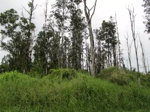 Tangerine Dr, Pahoa, HI 96778
