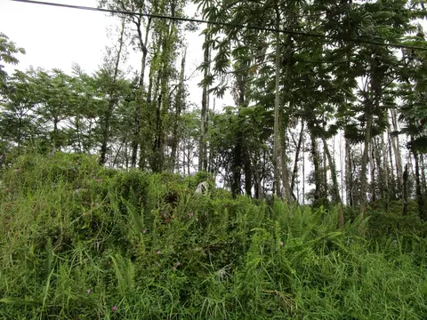 Kuhio Dr, Pahoa, HI 96778
