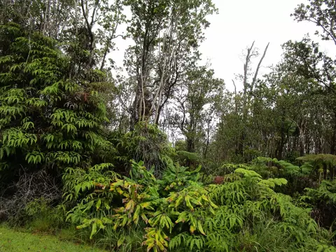 Kanilehua Pl, Volcano, HI 96785
