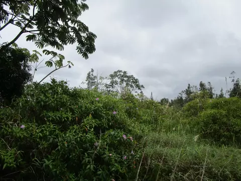 Macadamia Dr, Pahoa, HI 96778