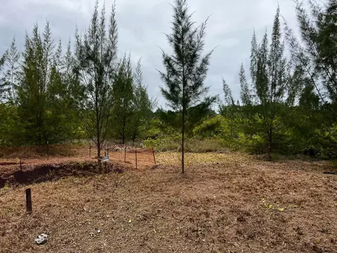 15-870 Paradise Ala Kai Dr, Keaau, HI 96749