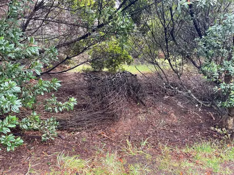 Undisclosed, Volcano, HI 96785