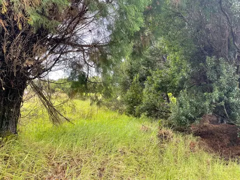 Liholiho St, Volcano, HI 96785