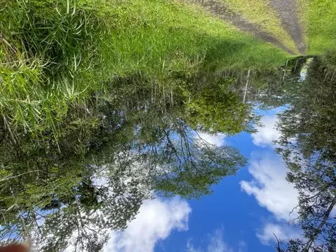 Plumeria Rd, Pahoa, HI 96778