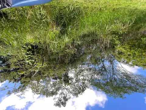 Plumeria Rd, Pahoa, HI 96778