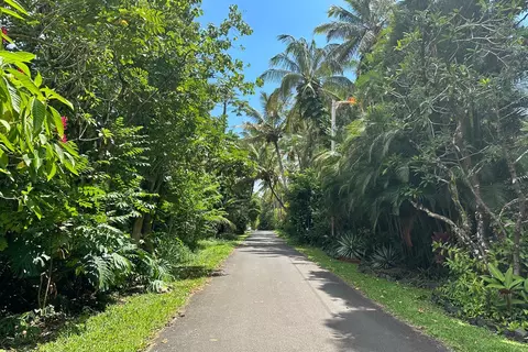Mauka Nui St, Pahoa, HI 96778