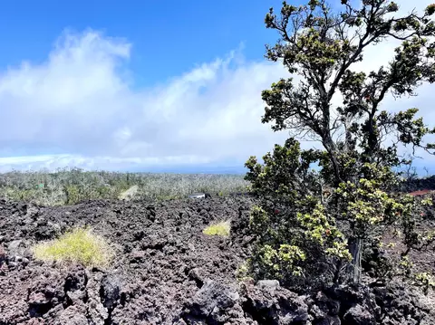 Plumeria Ln, Ocean View, HI 96737