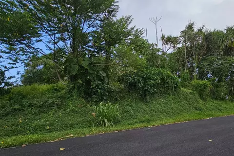 Opae St, Pahoa, HI 96778