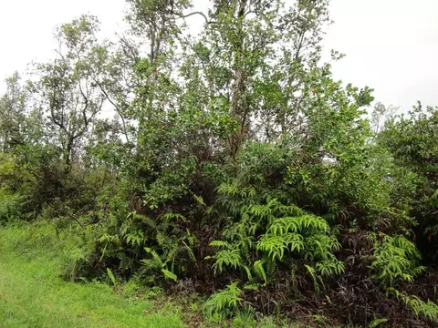 Oahu St, Pahoa, HI 96778