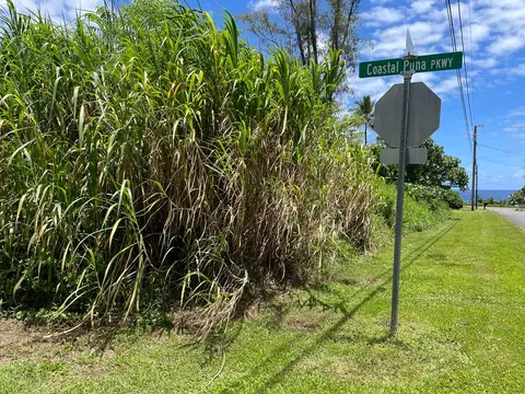Puna Pkwy, Pahoa, HI 96778