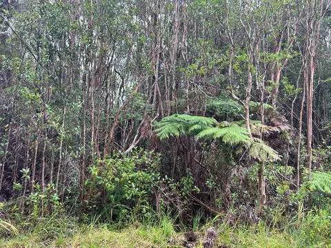 Road 3, Volcano, HI 96785