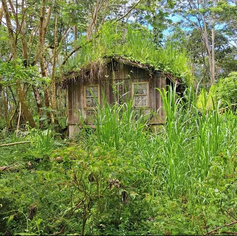 Noni Farm Rd, Pahoa, HI 96778