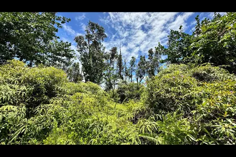 Loke Rd, Keaau, HI 96749