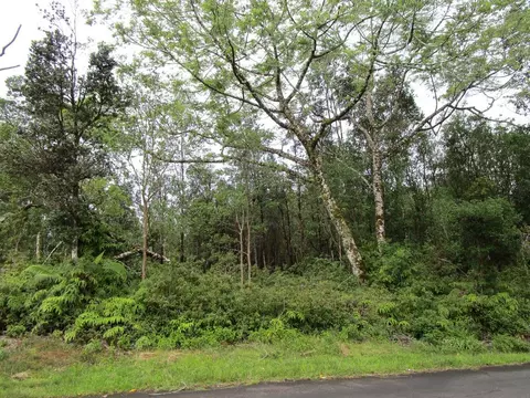 Kulani Rd, Mountain View, HI 96771