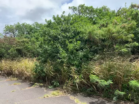 Puka St, Naalehu, HI 96772