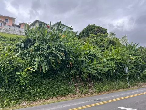 Undisclosed, Hilo, HI 96720